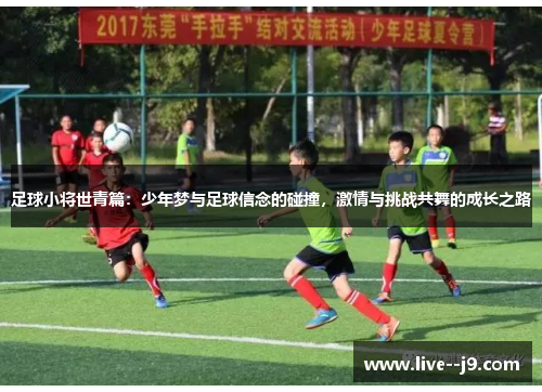 足球小将世青篇：少年梦与足球信念的碰撞，激情与挑战共舞的成长之路