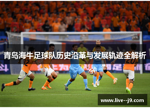 青岛海牛足球队历史沿革与发展轨迹全解析