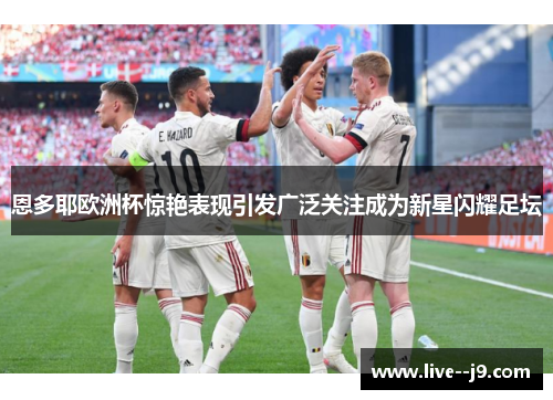 恩多耶欧洲杯惊艳表现引发广泛关注成为新星闪耀足坛