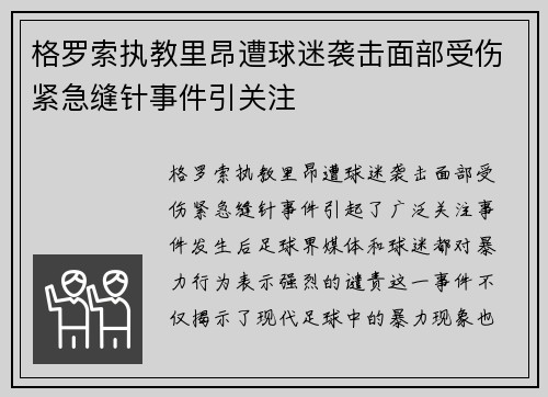 格罗索执教里昂遭球迷袭击面部受伤紧急缝针事件引关注